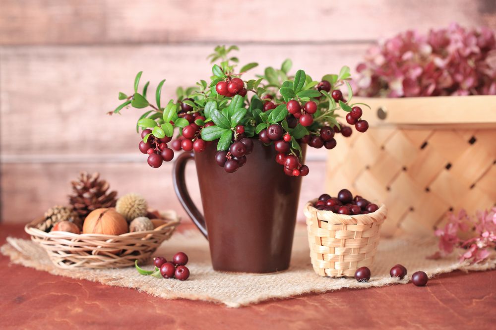 Фотография автора Галина Лоскутова