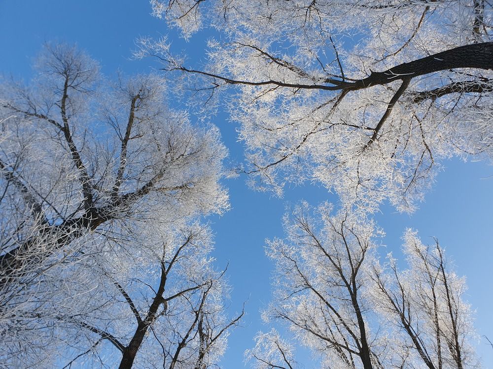 Photograph by Айгуль Кубиева