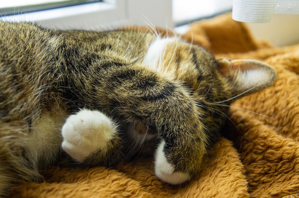 Photograph by Павел Минкевич