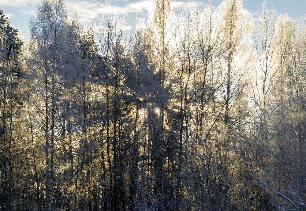 Photograph by Павел Минкевич