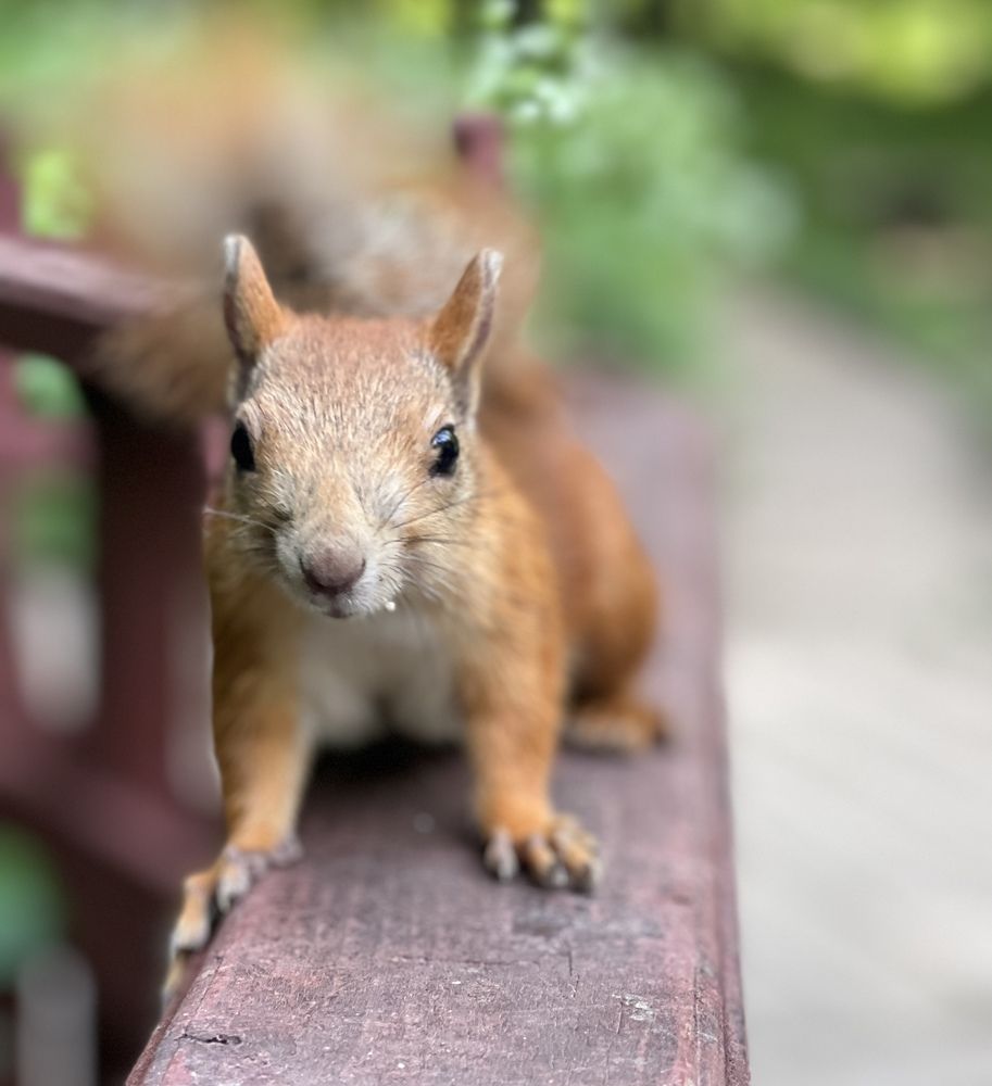 Photograph by Кристина Сухотина