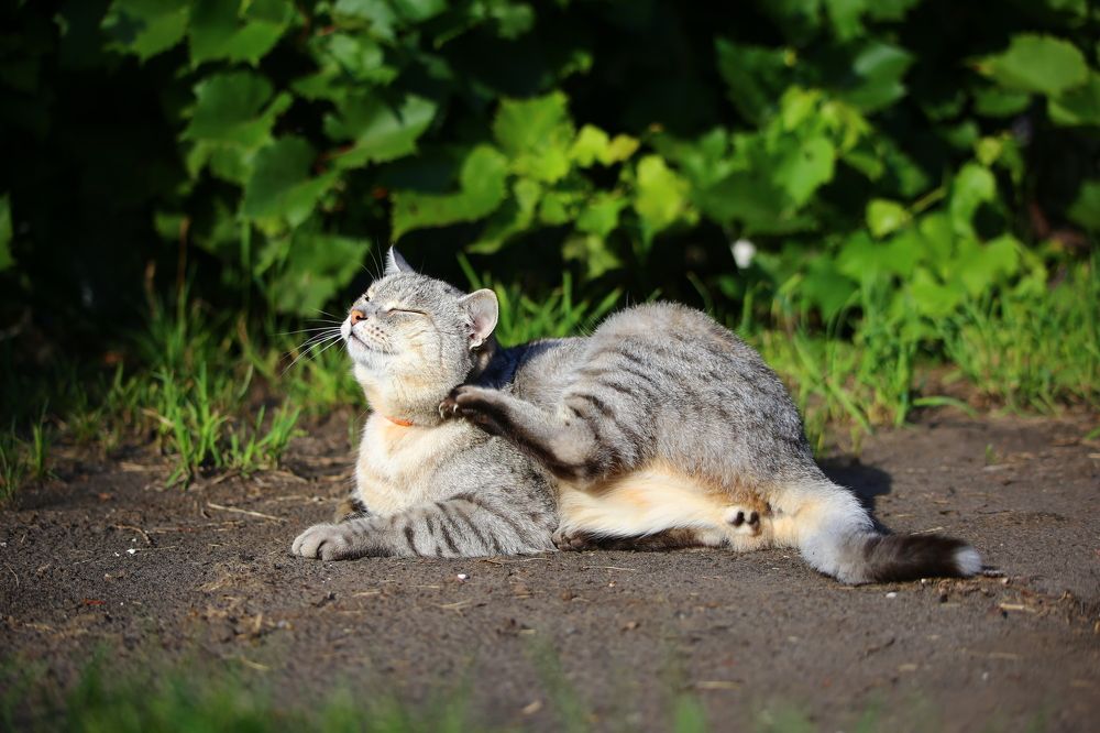Photograph by Дарья Александровна Емельянова