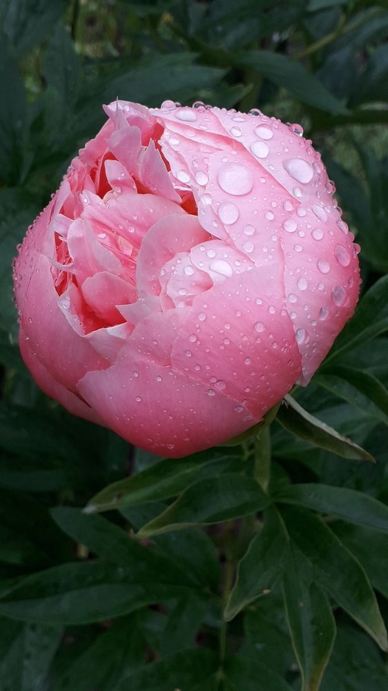 Photograph by Татьяна