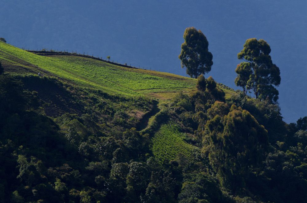 desde la casa de la abuela