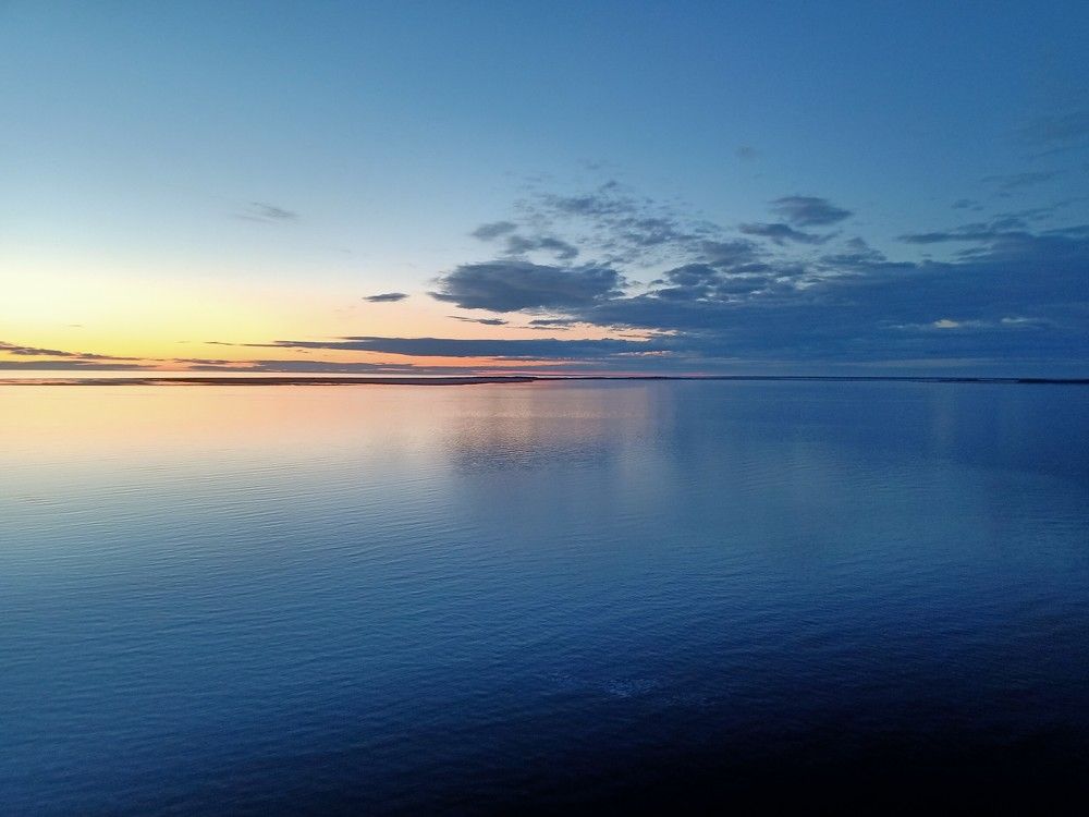 Photo #8706629