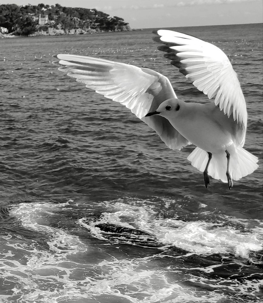 Photograph by Валерий Наумов