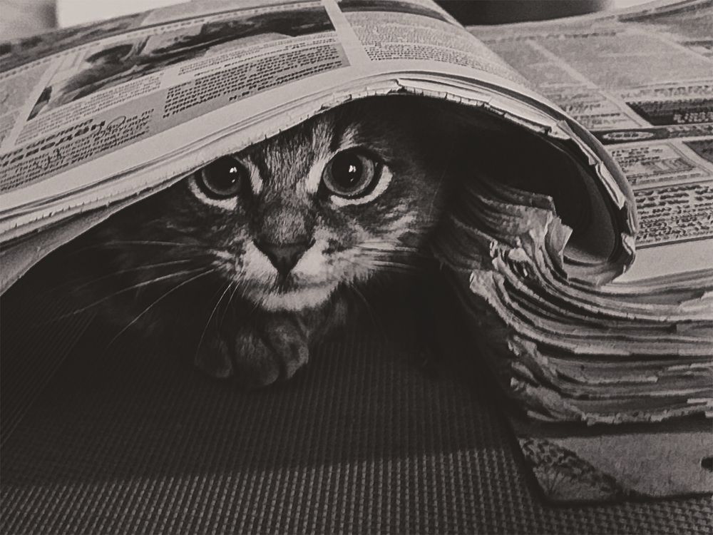 Photograph by Andrei Vaitovich