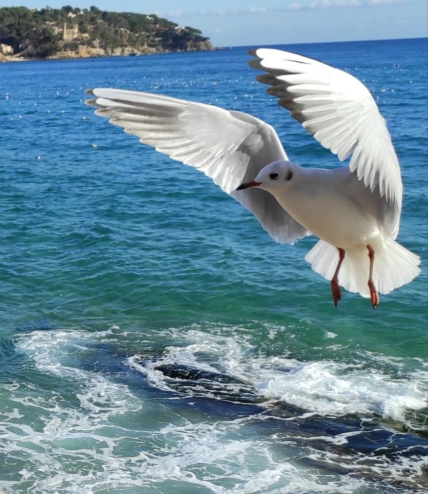 Photograph by Валерий Наумов