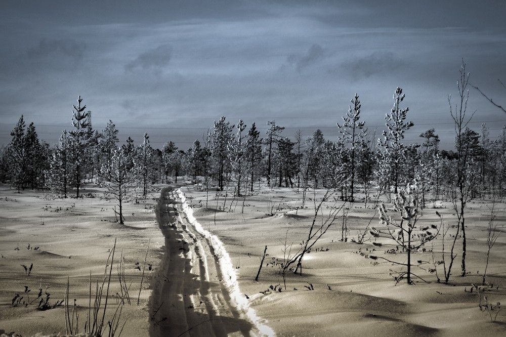 Photograph by света Голота