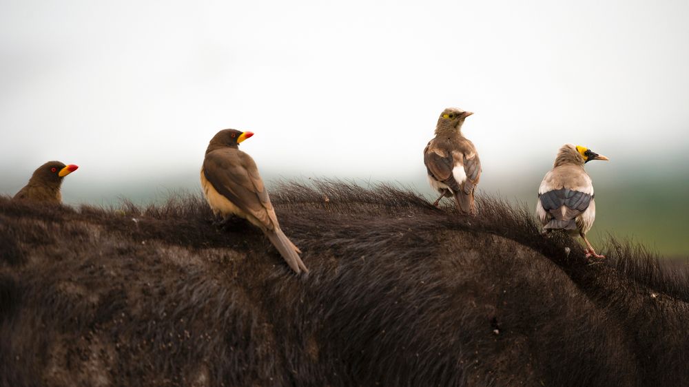 Photograph by Khazov Artem