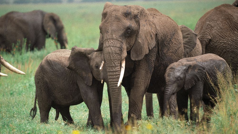 Photograph by Khazov Artem