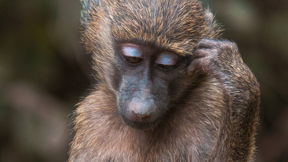 Photograph by Khazov Artem