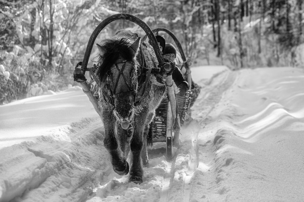 Photograph by Усманов Рашид