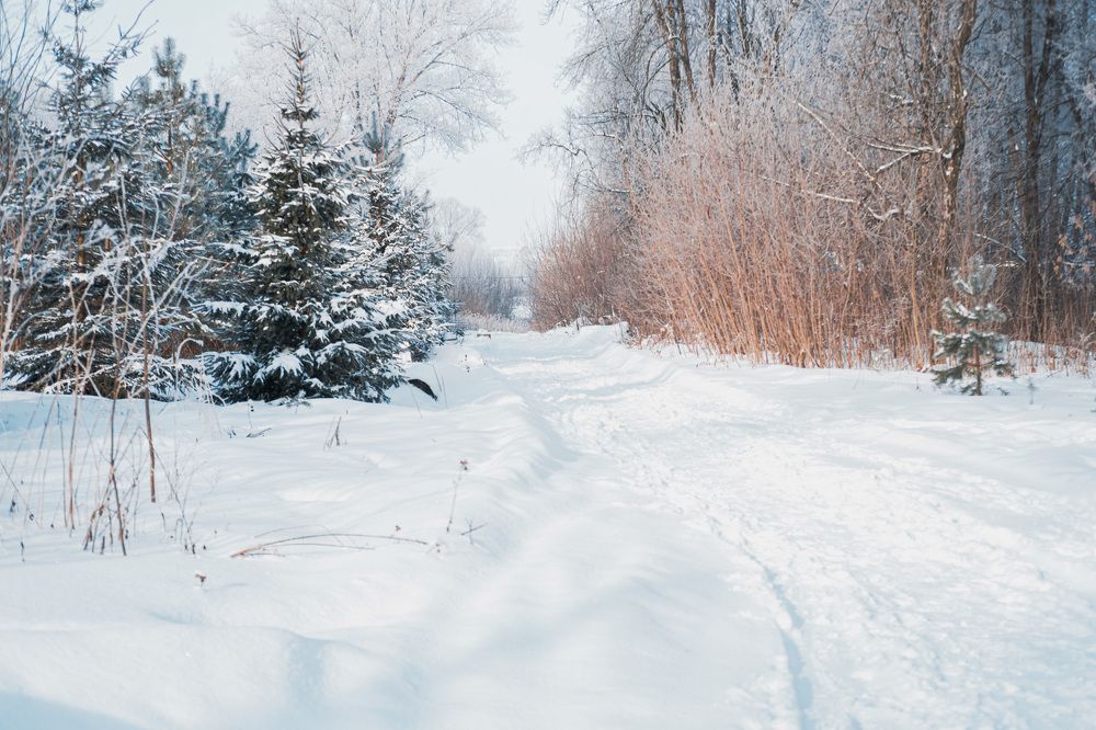 дорога к Маленькой речке