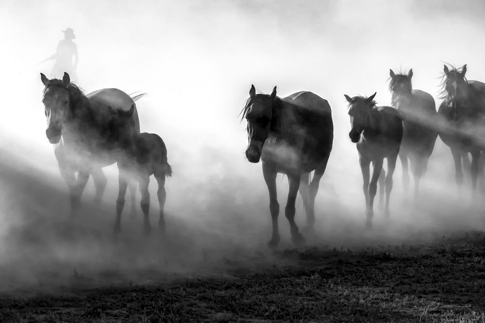 Фотография автора Aylin Turnator