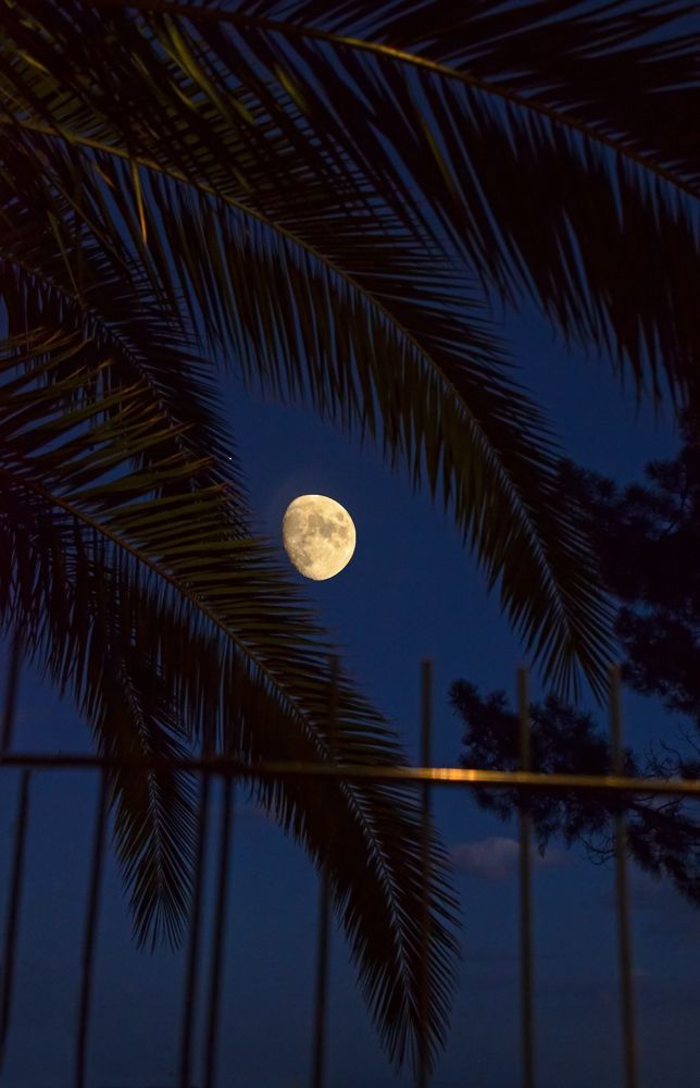 Photograph by Валерий Наумов