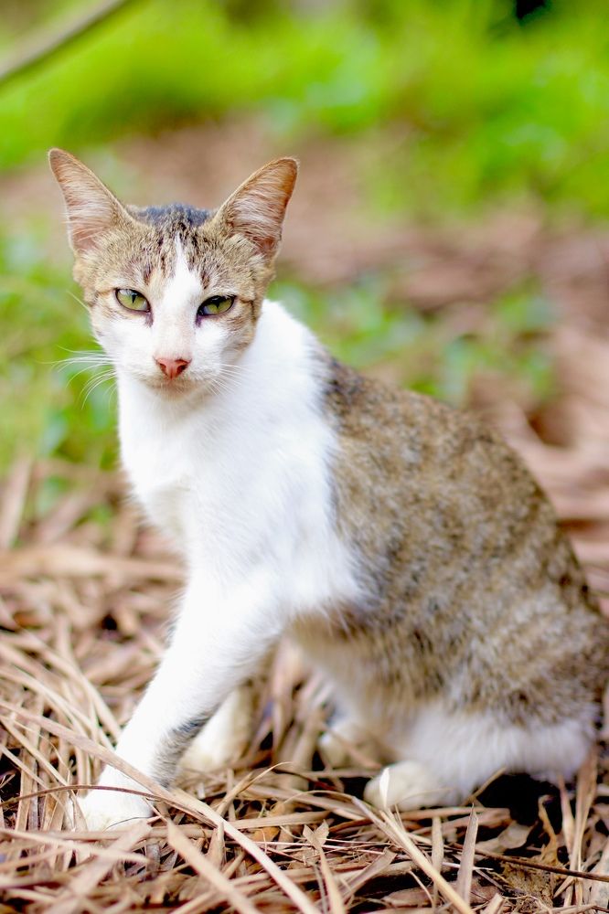 Photograph by Jonna Sabenorio