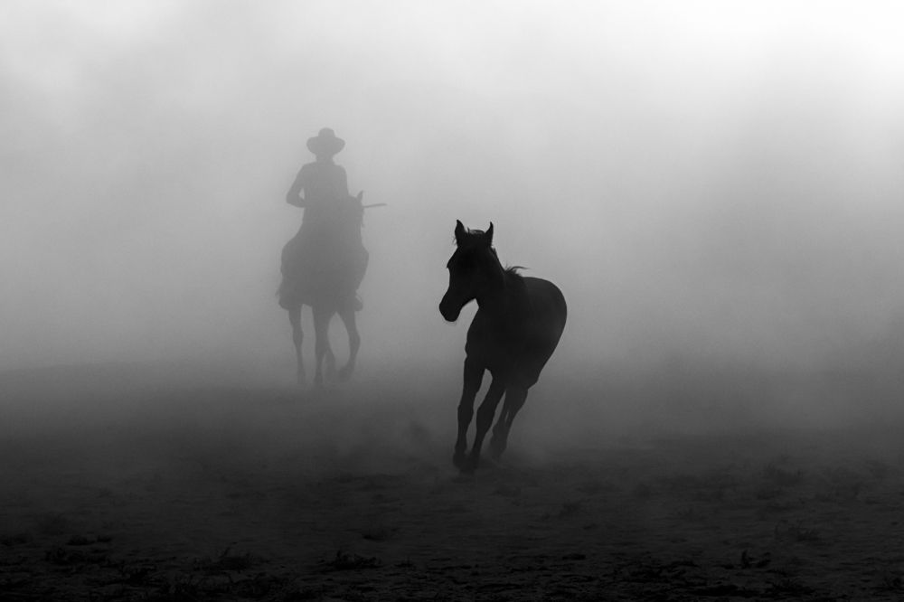 Фотография автора Aylin Turnator