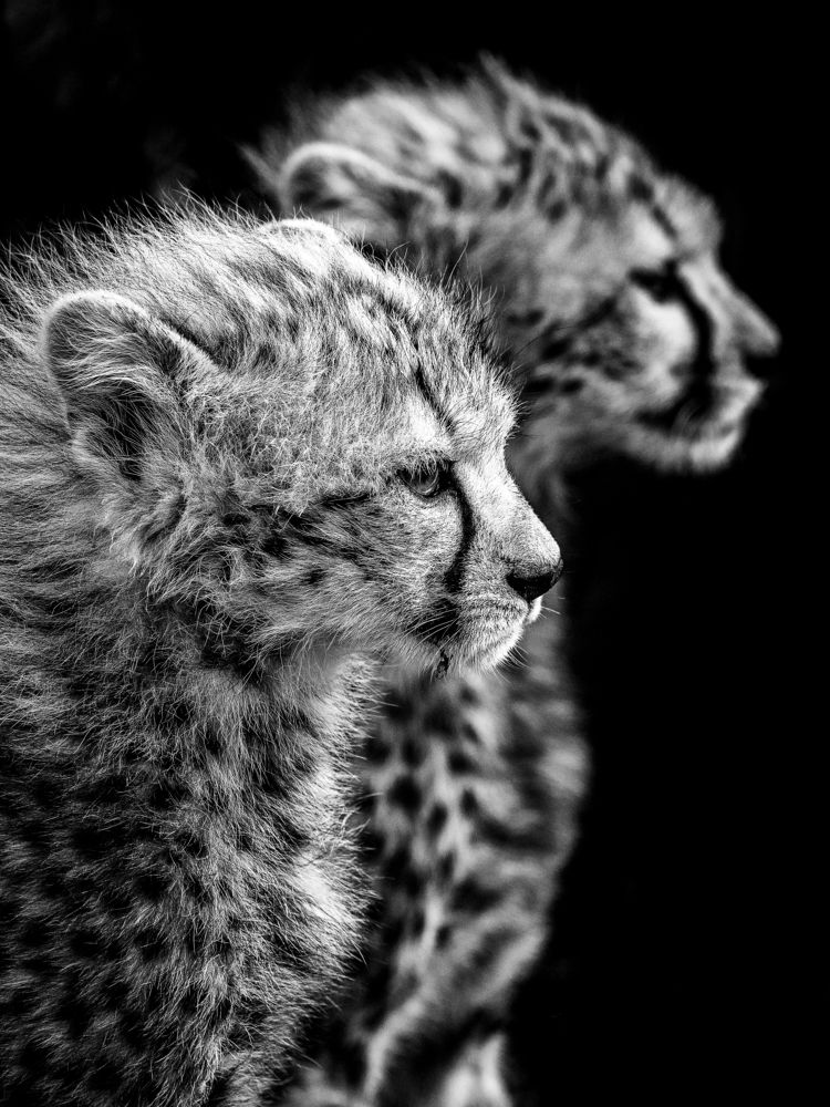 Photograph by Merche Llobera