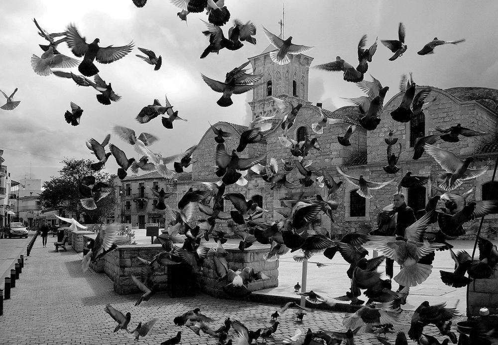 Photograph by Людмила Викулова