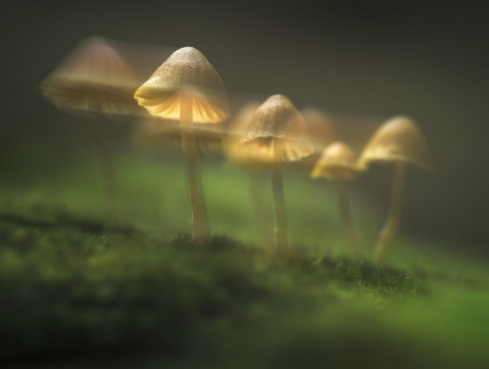 Фотография автора Panagiotis Dalagiorgos