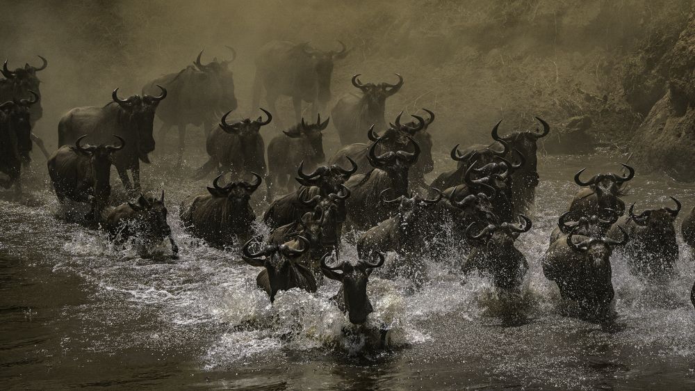 Photograph by Merche Llobera