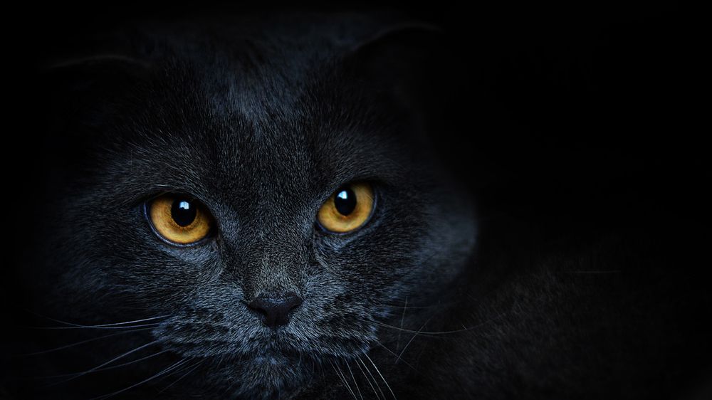 Photograph by Алексей Парамонов