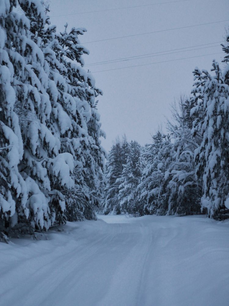 Photograph by Юлия Ерофеева