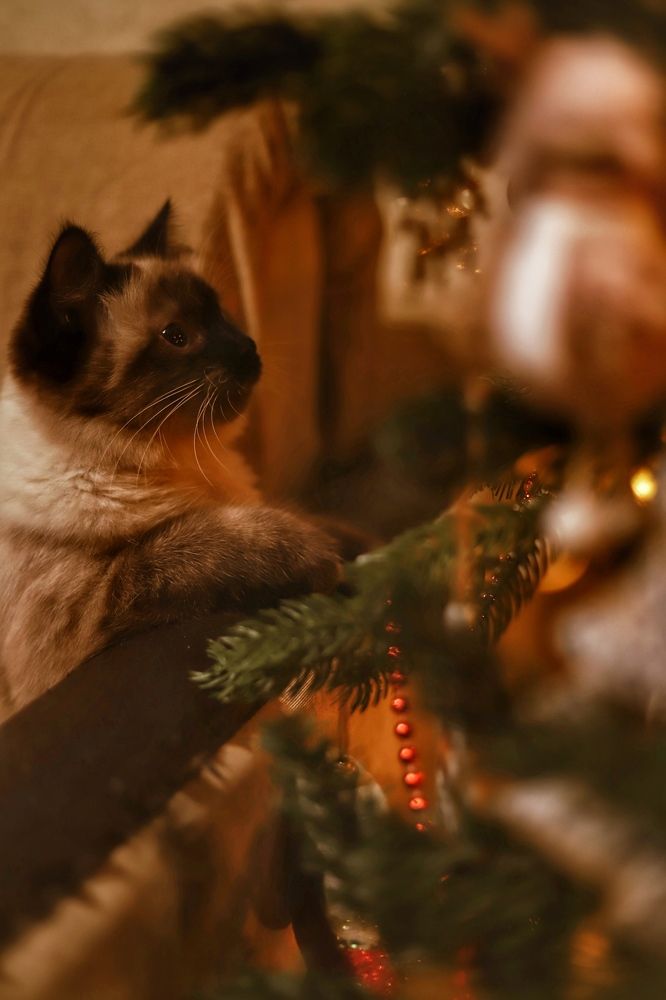 Фотография автора Екатерина Устинкина