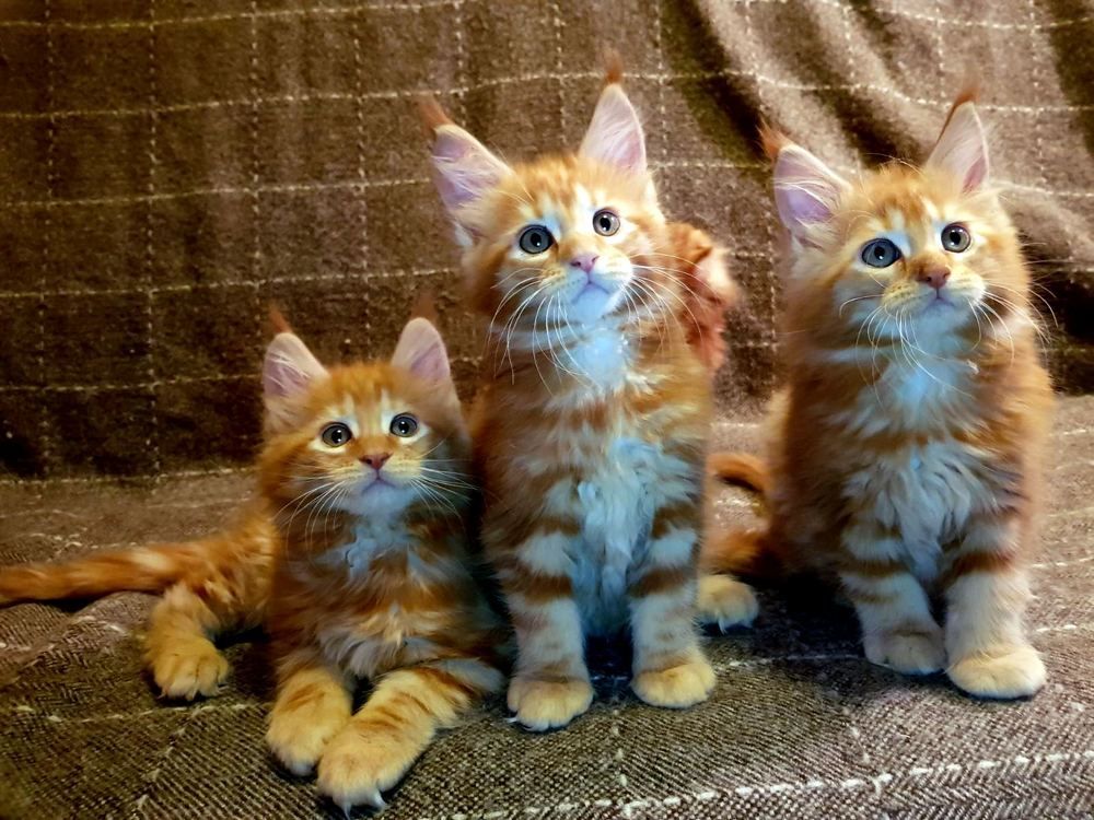 Photograph by Глеб Кузьминых