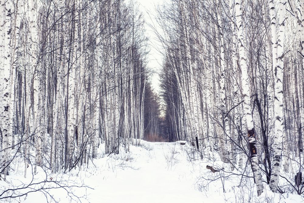 Photograph by Natalia Badyul