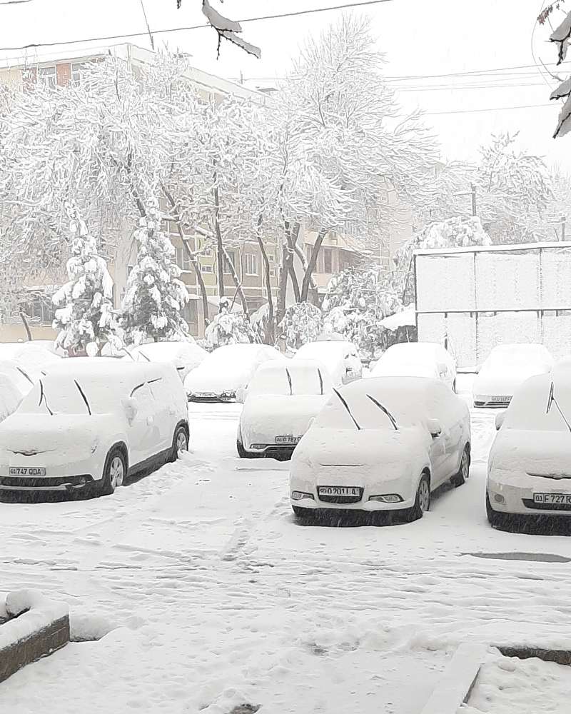 Photograph by Зульфия