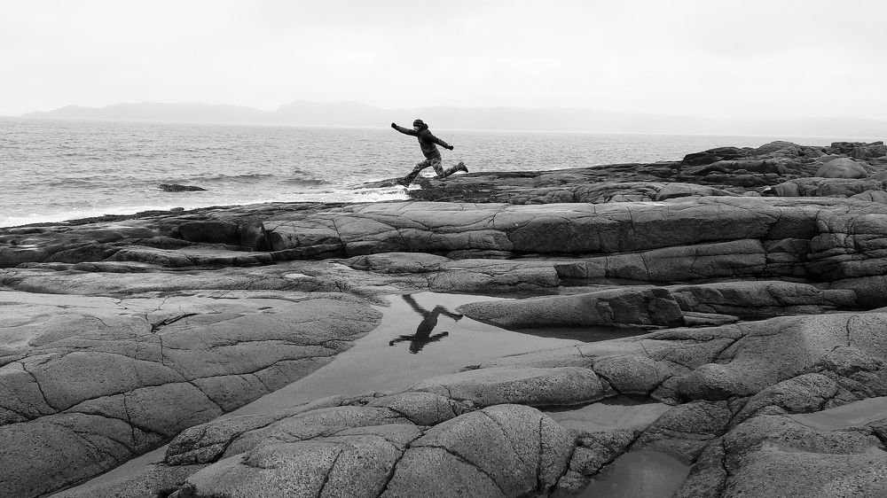 Photo #8706974