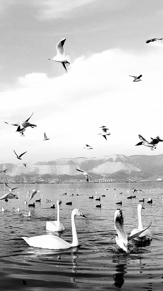 Photograph by Марина Жарикова