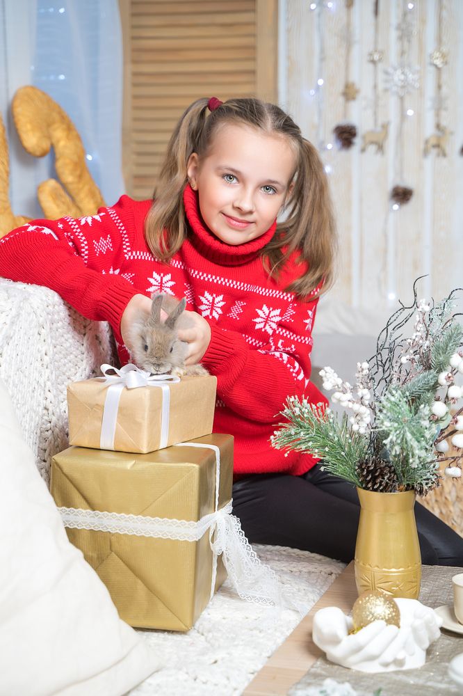 Фотография автора Василиса Новикова