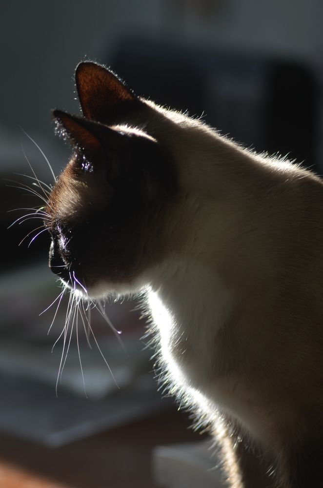 Photograph by Valentina