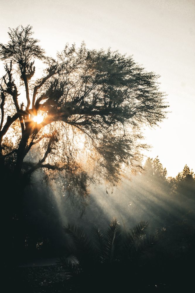 Sunrise