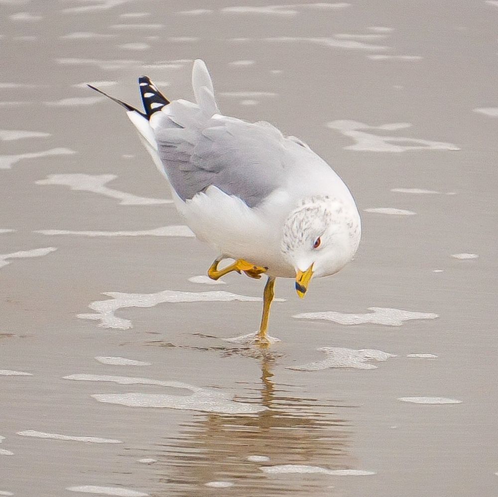 Photograph by Ethan Williams