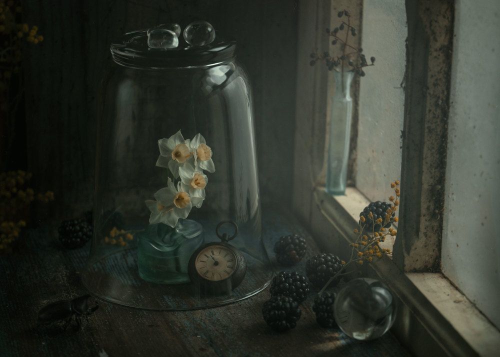 Photograph by Natalia Ricci