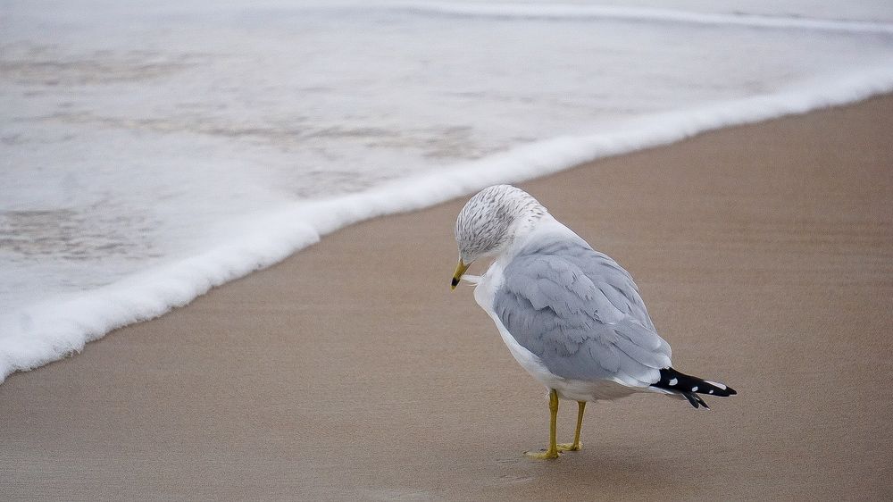 Photograph by Ethan Williams