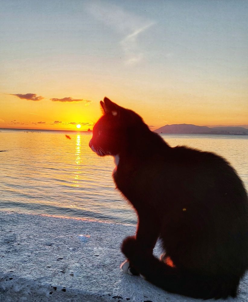 Photograph by Марина Жарикова