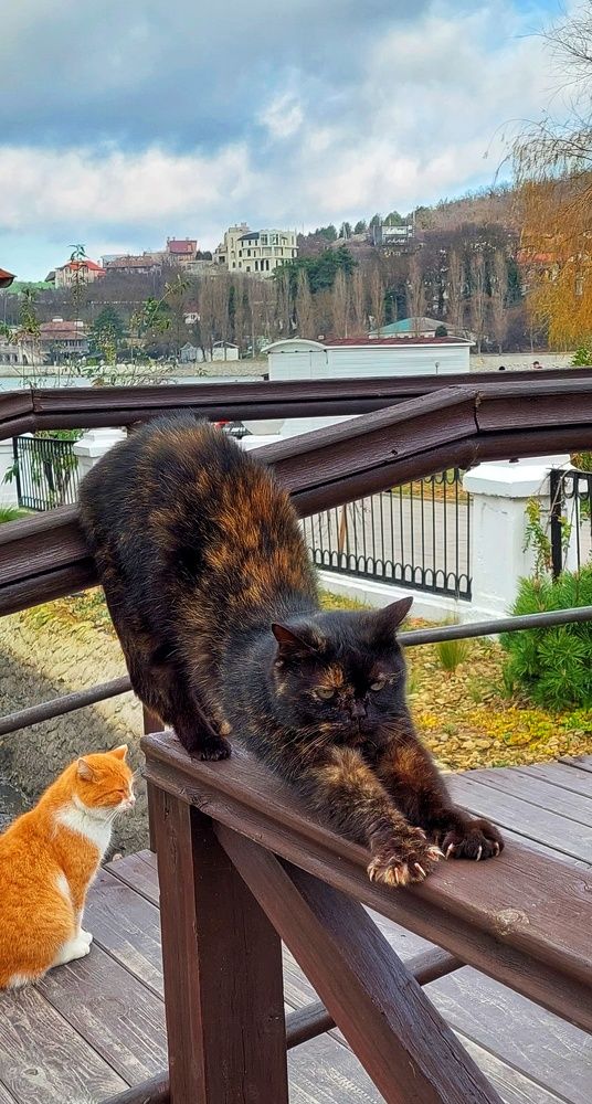 Photograph by Марина Жарикова