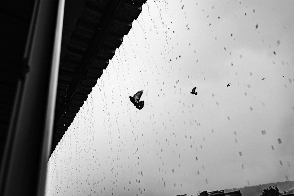 Photograph by Гульшат Хаертдинова