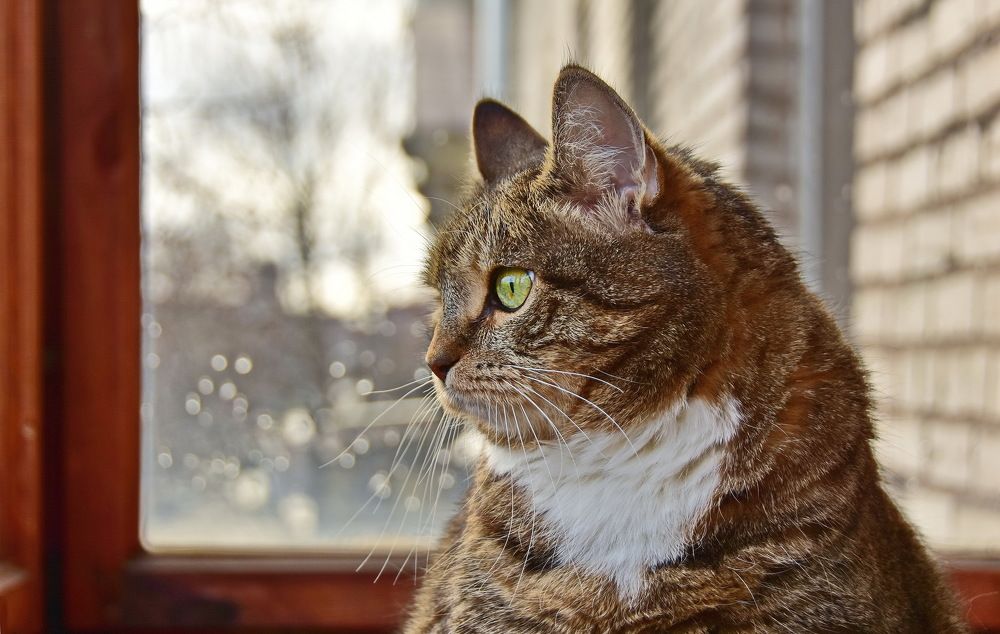 Photograph by Лидия Ушакова