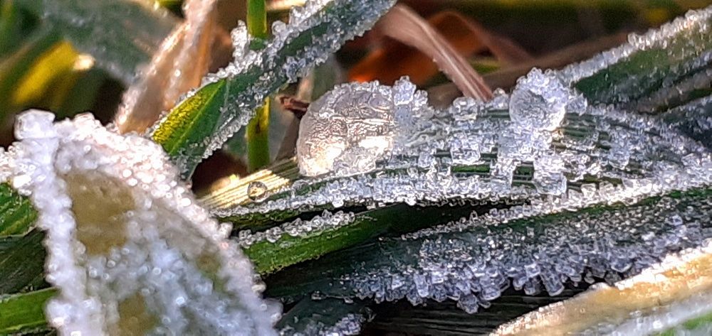 Photograph by Евгения Ульянова