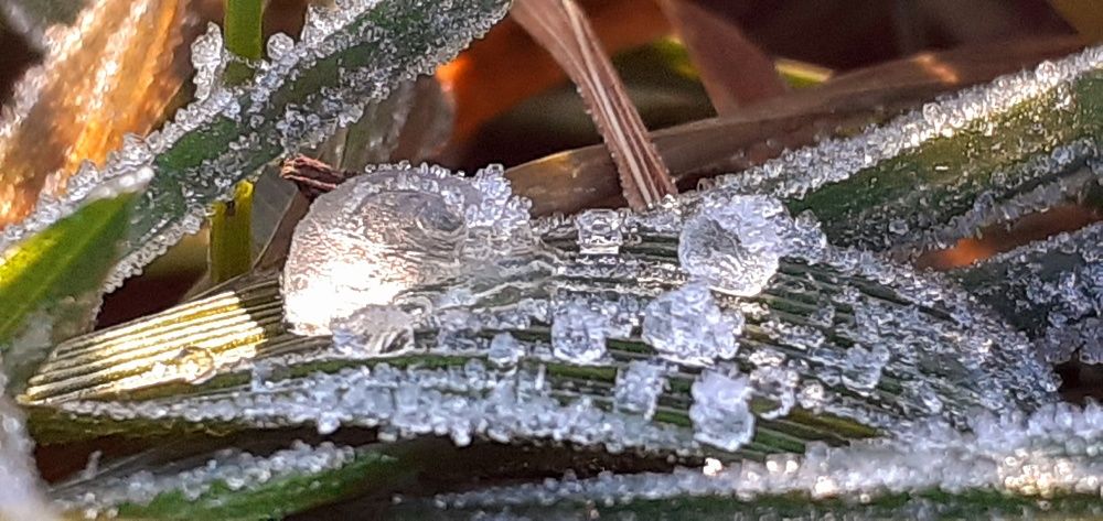 Photograph by Евгения Ульянова