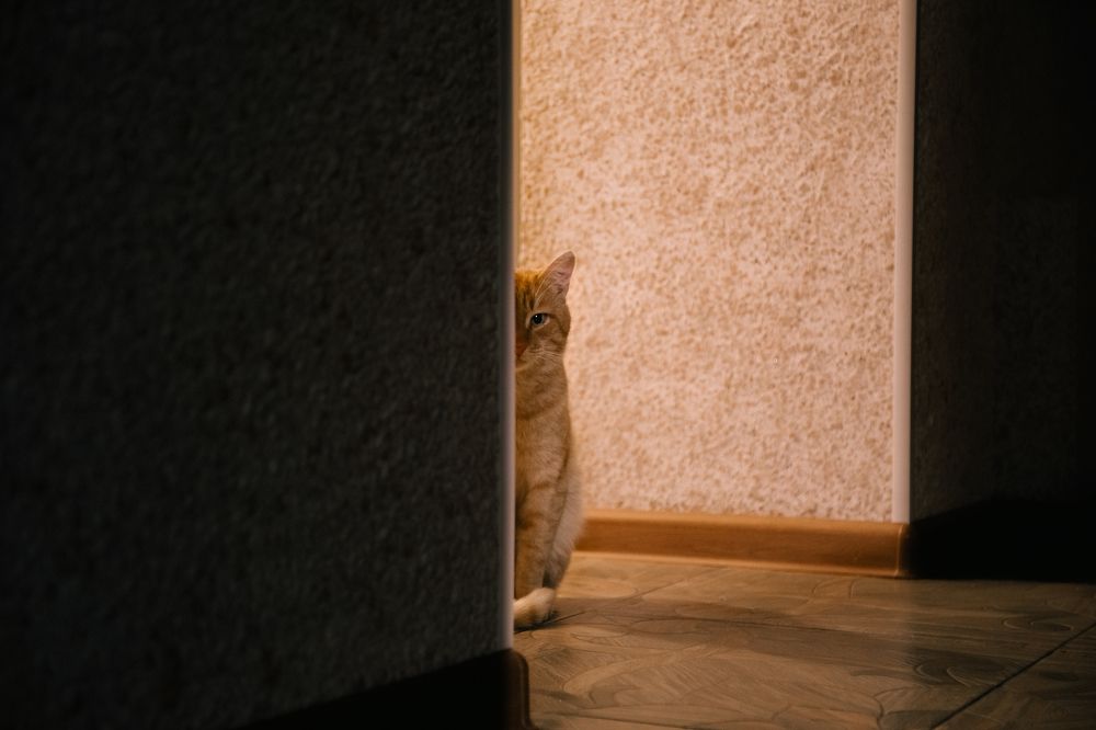 Photograph by Гульшат Хаертдинова