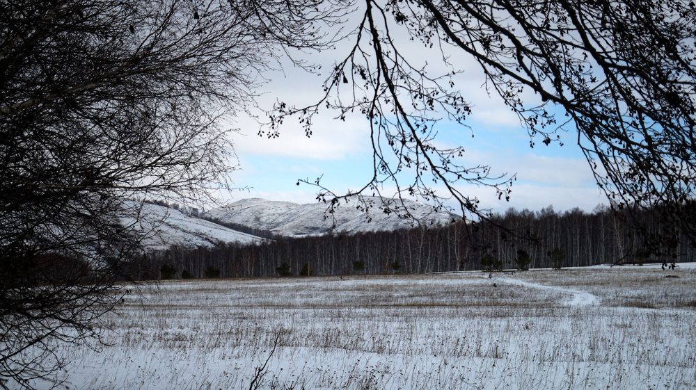 Photograph by Нияз Мирхайдаров