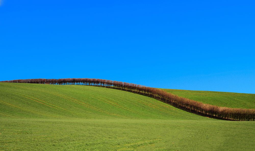 Photograph by Shahabedin Zeini Aslani,