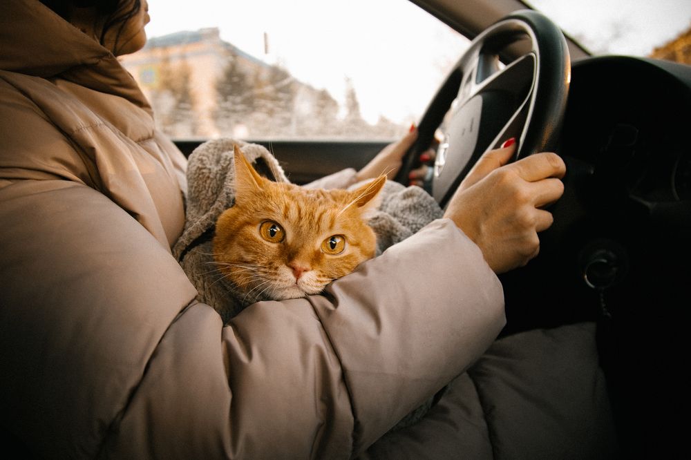 Photograph by Гульшат Хаертдинова